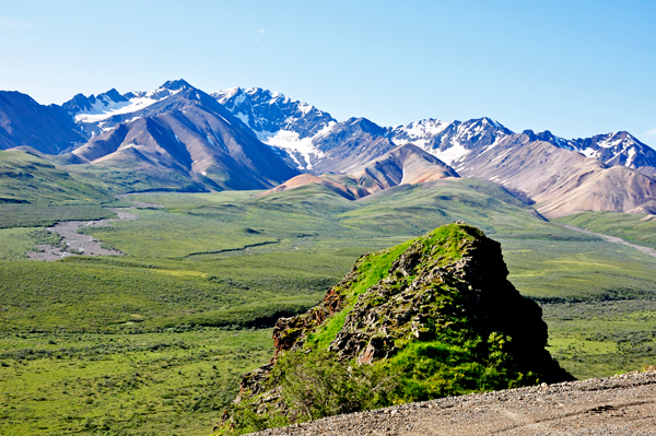 Denali National Park scenery